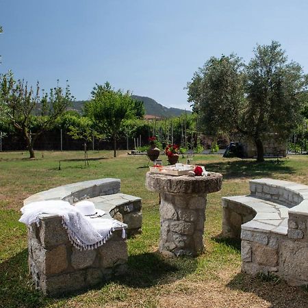 Villa Tsitreli Sykia Dış mekan fotoğraf