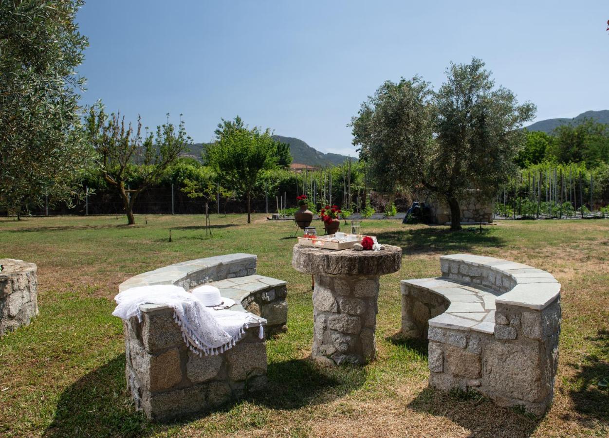 Villa Tsitreli Sykia Dış mekan fotoğraf