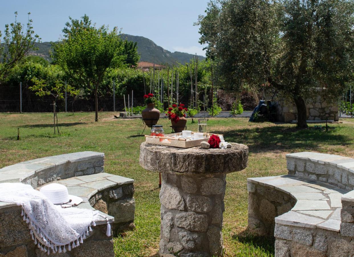 Villa Tsitreli Sykia Dış mekan fotoğraf
