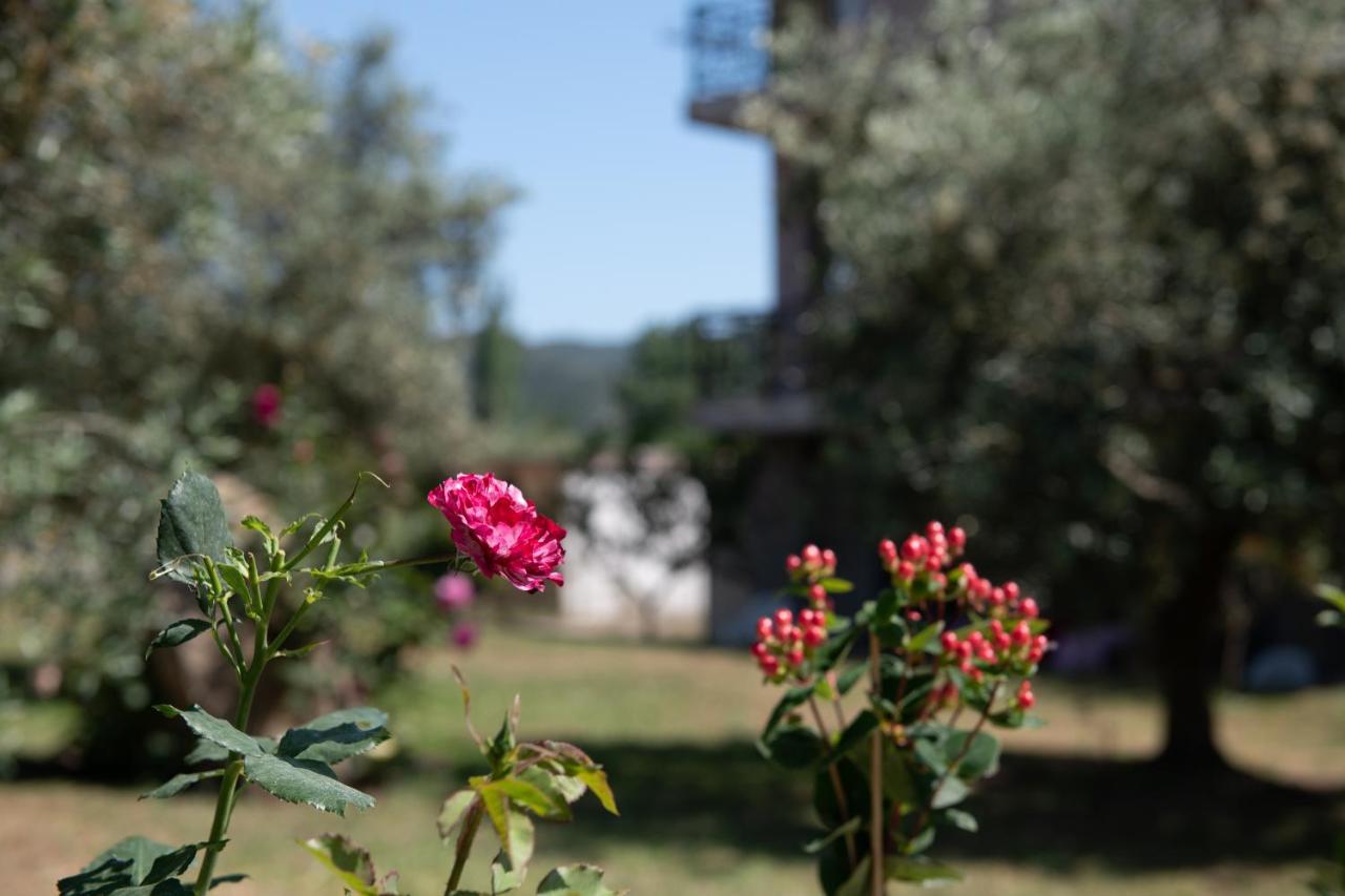 Villa Tsitreli Sykia Dış mekan fotoğraf