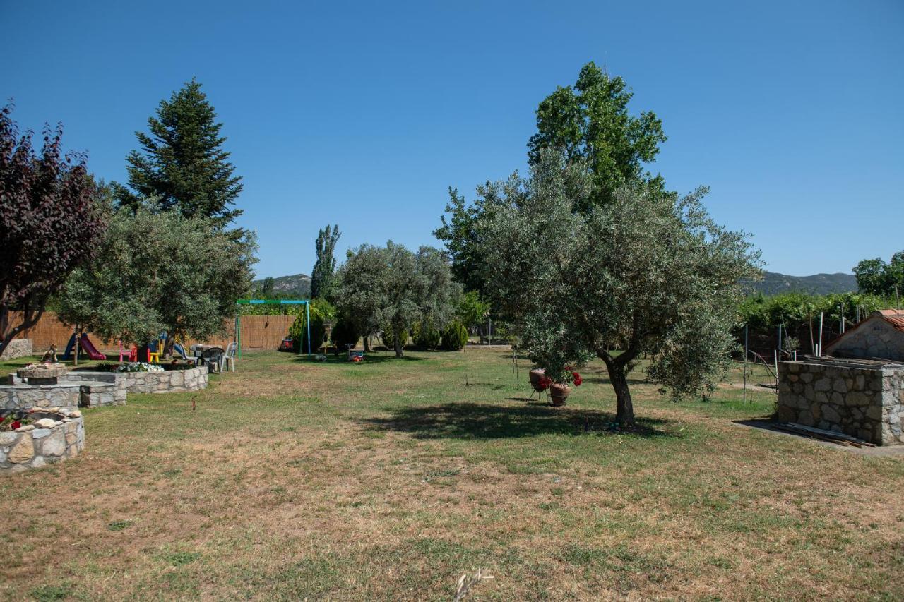 Villa Tsitreli Sykia Dış mekan fotoğraf