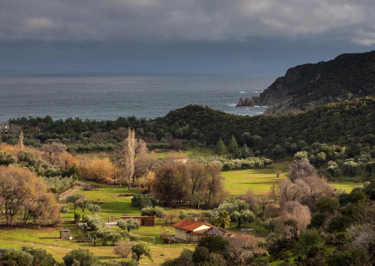 Villa Tsitreli Sykia Dış mekan fotoğraf