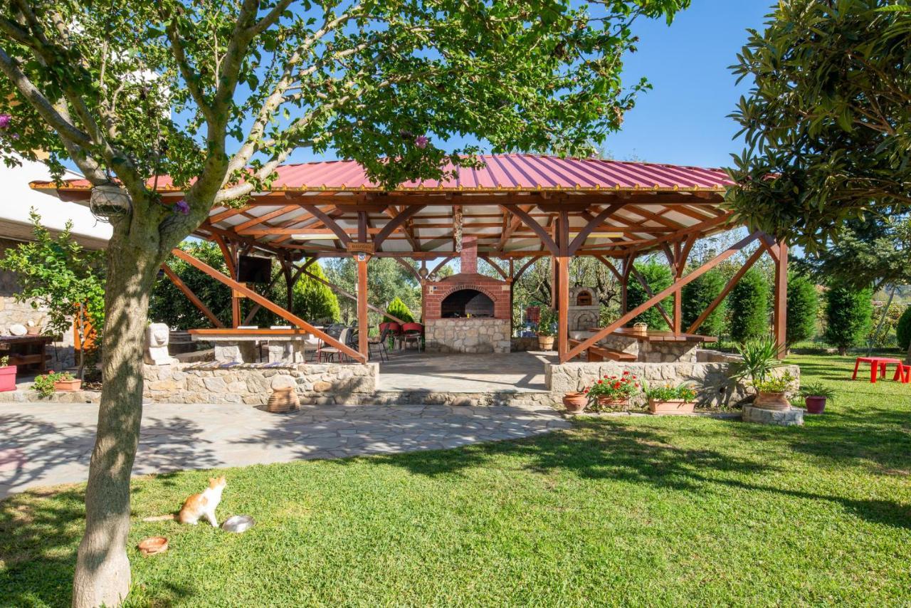 Villa Tsitreli Sykia Dış mekan fotoğraf